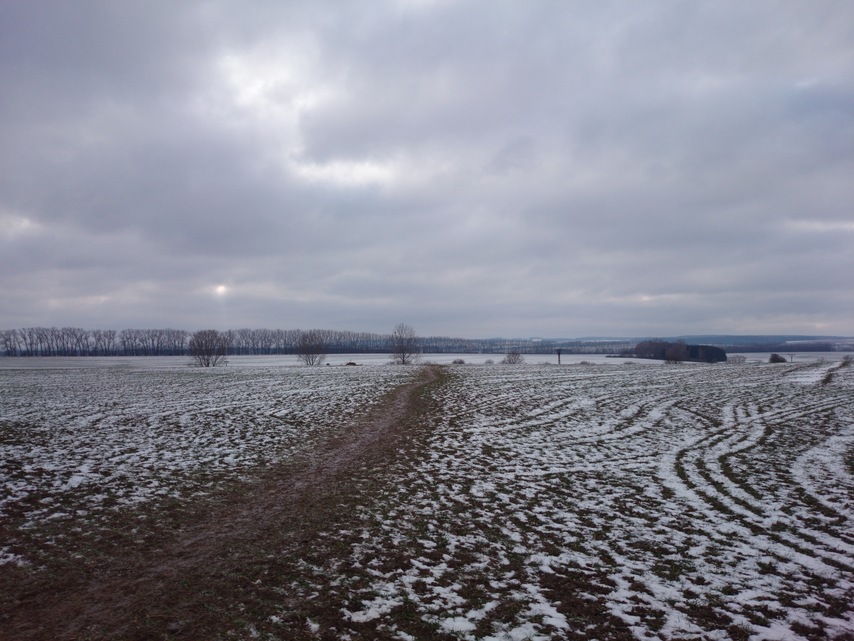 Sony Xperia Z1 Compact