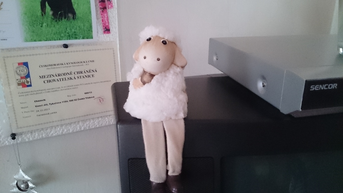 Sony Xperia Z2 Tablet