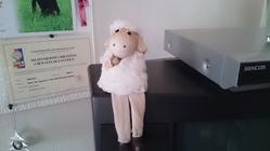 Sony Xperia Z2 Tablet