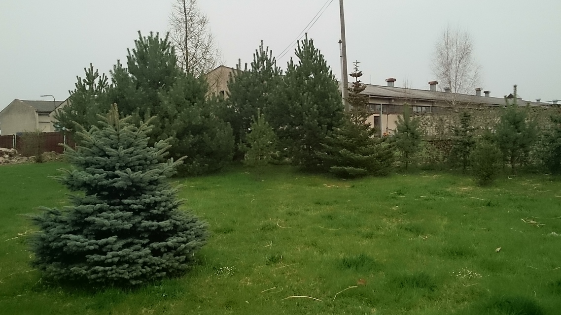 Sony Xperia Z2 Tablet