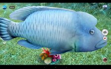 Sony Xperia Z2 Tablet