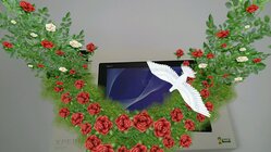 Sony Xperia Z2 Tablet