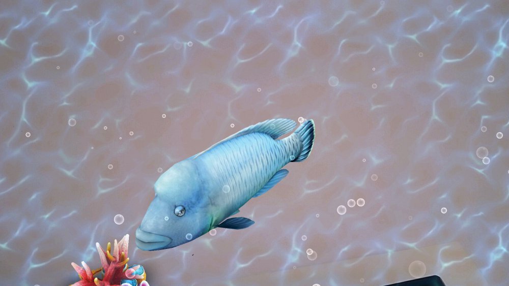 Sony Xperia Z2 Tablet