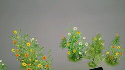 Sony Xperia Z2 Tablet