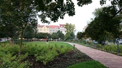 Sony Xperia Z3 Compact