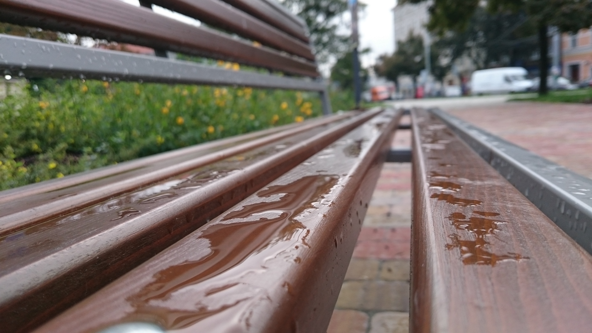 Sony Xperia Z3 Compact