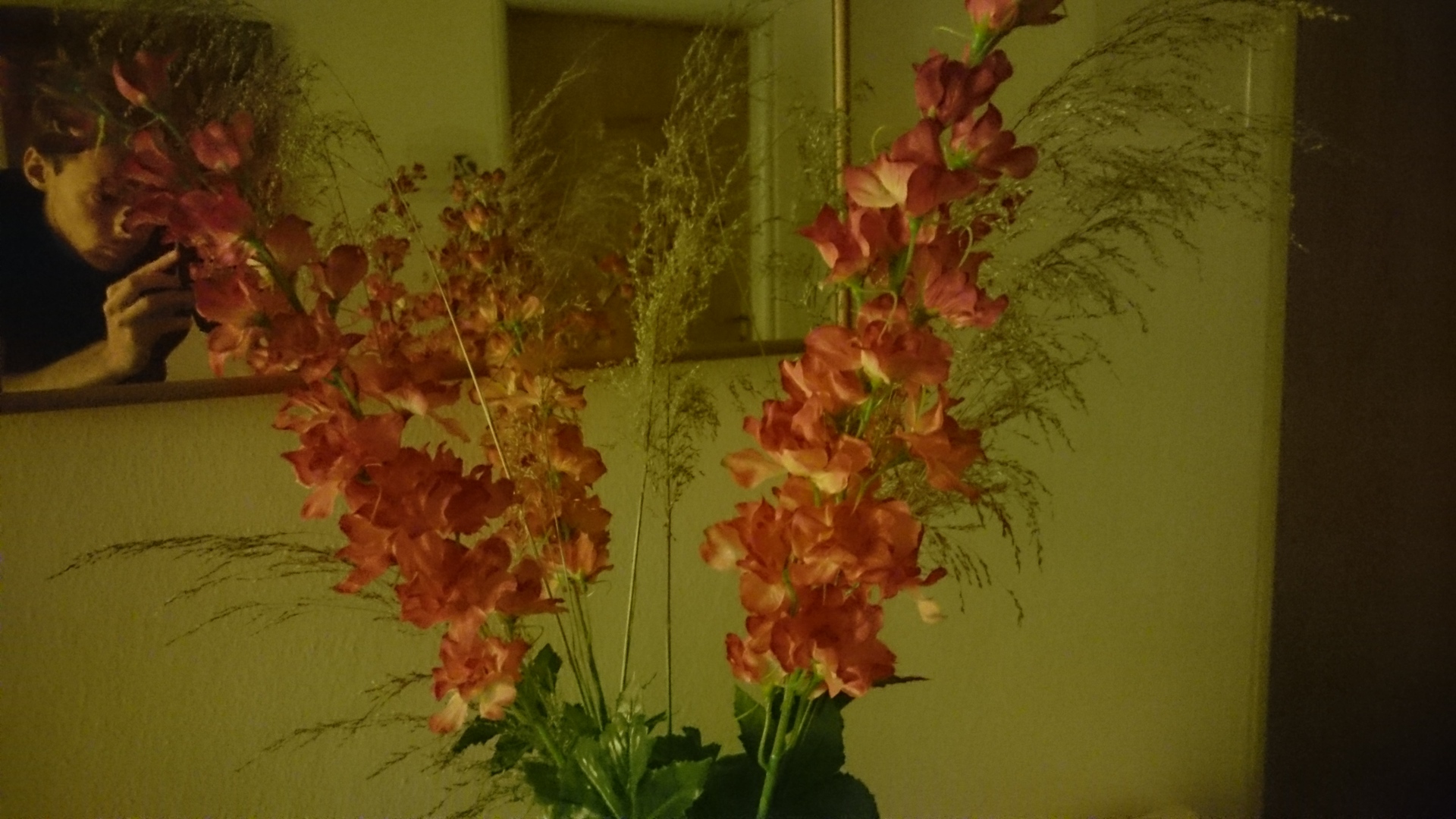 Sony Xperia Z3 Compact