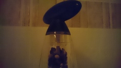 Sony Xperia Z3 Compact