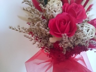 Sony Xperia Z3 Compact