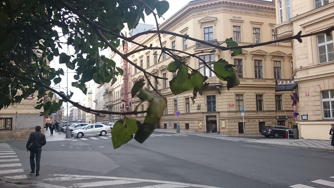 Sony Xperia Z3 Tablet Compact