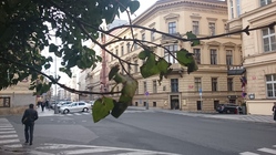 Sony Xperia Z3 Tablet Compact