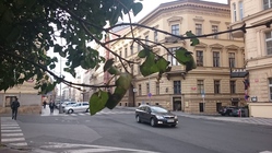 Sony Xperia Z3 Tablet Compact