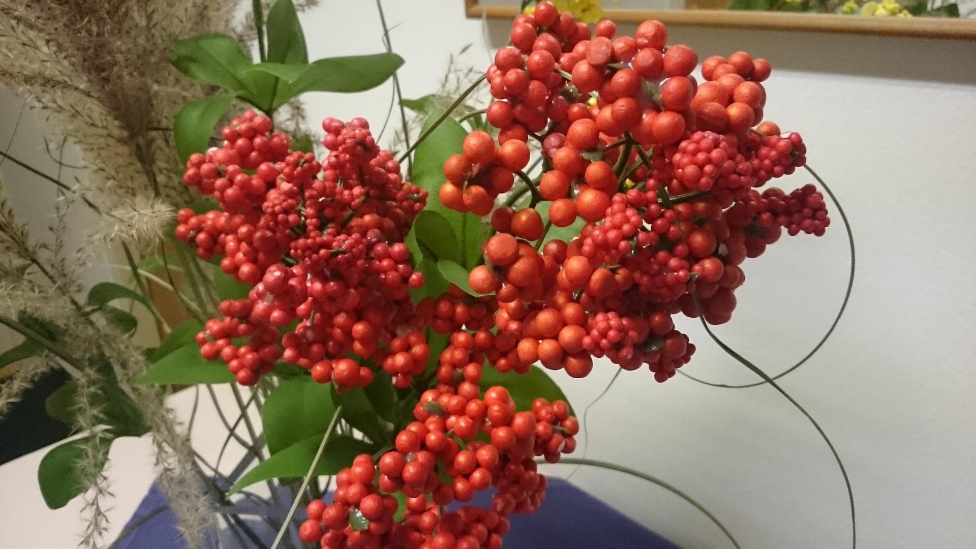 Sony Xperia Z3 Tablet Compact