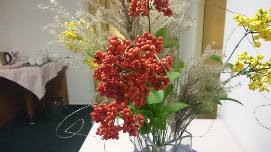 Sony Xperia Z3 Tablet Compact