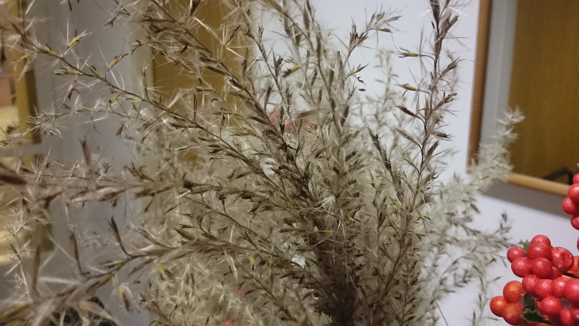 Sony Xperia Z3 Tablet Compact