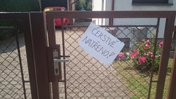 Sony Xperia Z4 Tablet