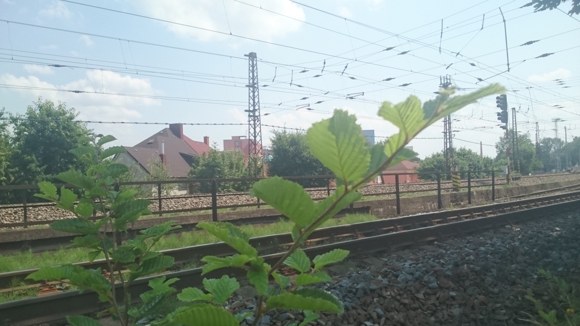 Sony Xperia Z4 Tablet