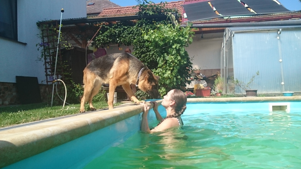 Sony Xperia Z4 Tablet