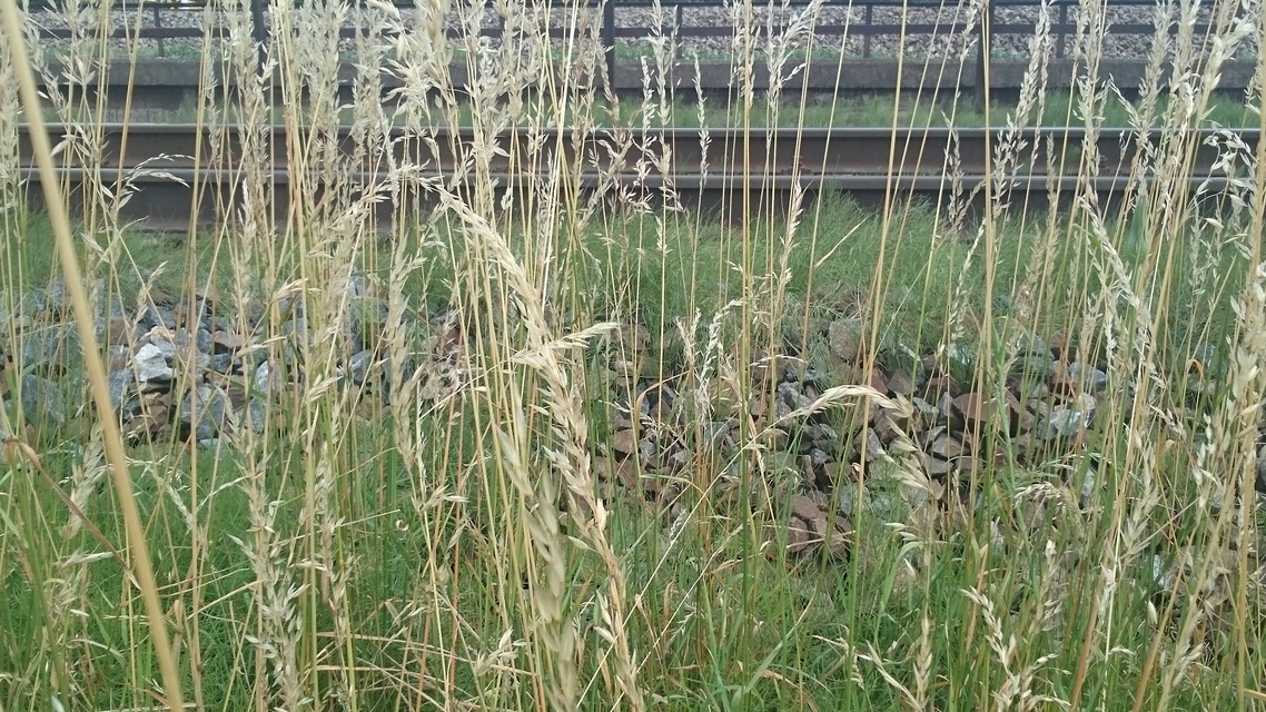 Sony Xperia Z4 Tablet