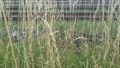 Sony Xperia Z4 Tablet