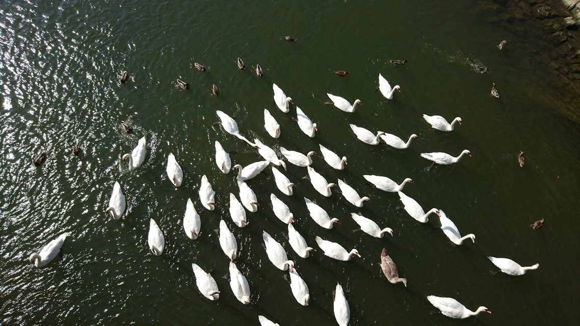 Sony Xperia Z5 Compact