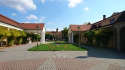 Sony Xperia Z5 Compact