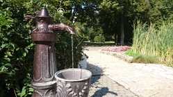 Sony Xperia Z5 Compact