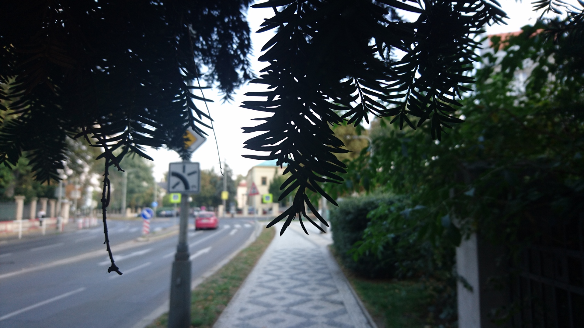 Sony Xperia Z5 Compact