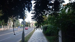 Sony Xperia Z5 Compact