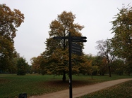 Sony Xperia Z5 Compact