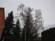 Sony Xperia Z5 Premium