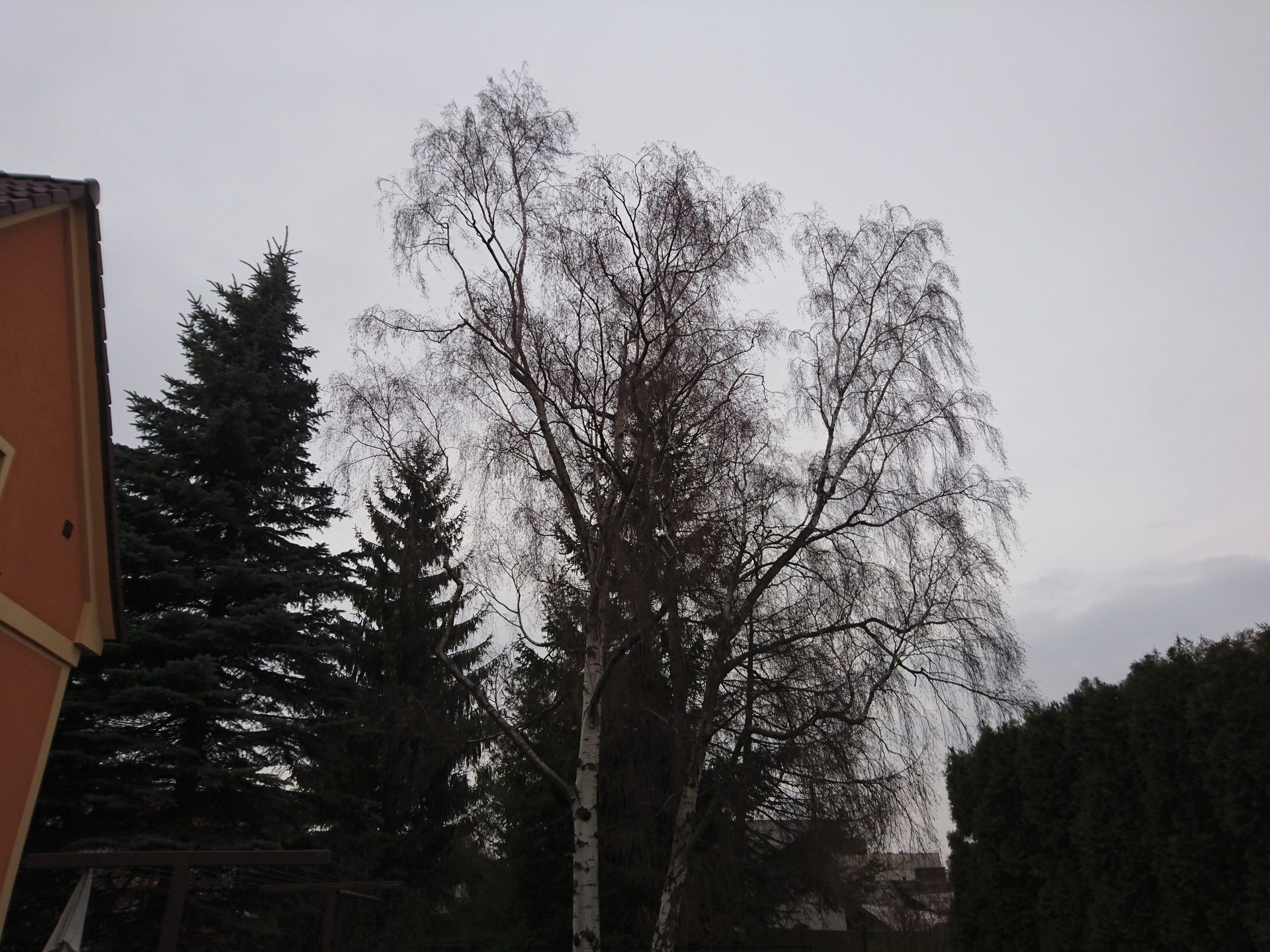 Sony Xperia Z5 Premium