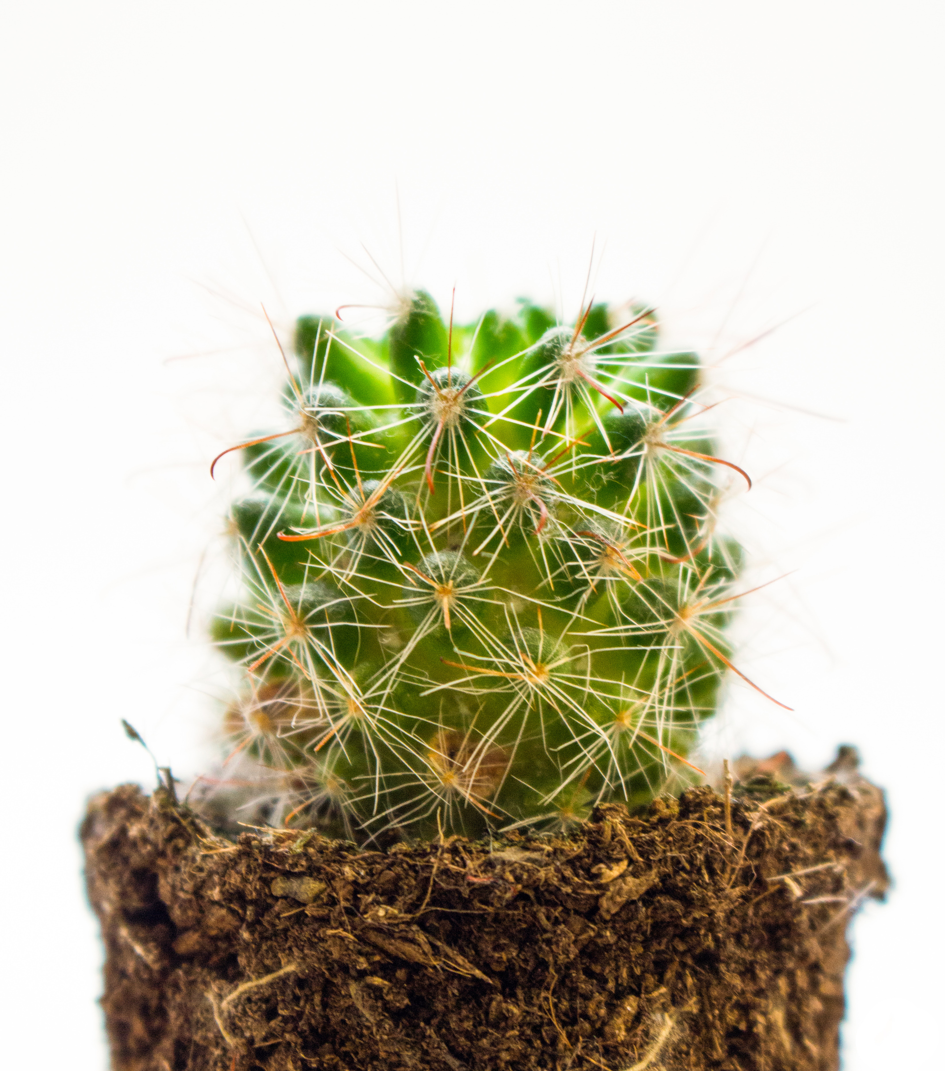 Špatně vyvážená bílá - moc teplé odstíny