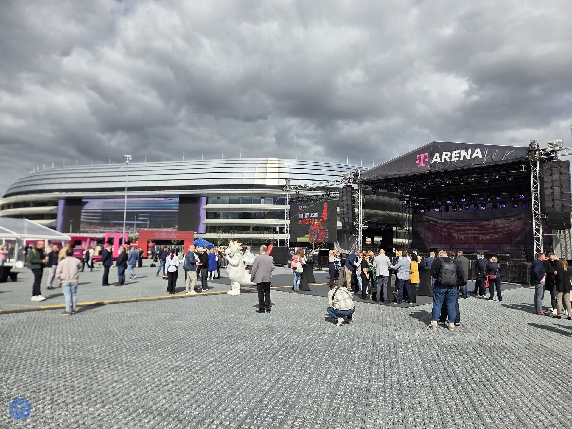 T Arena