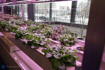 T-Mobile Magenta Experience Center