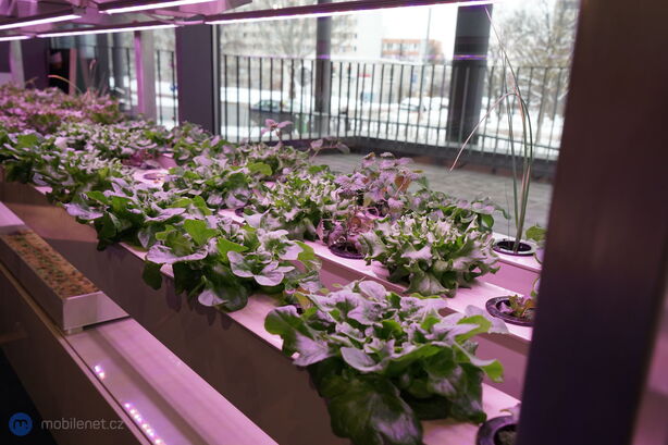 T-Mobile Magenta Experience Center