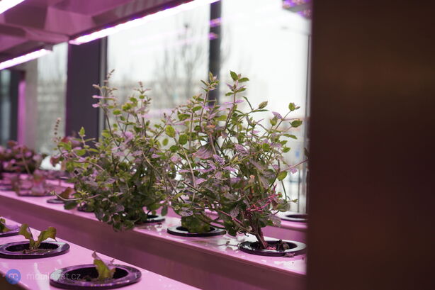 T-Mobile Magenta Experience Center