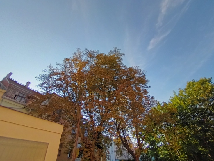 T-Mobile T Phone Pro (2023)