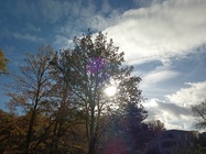 T-Mobile T Phone Pro