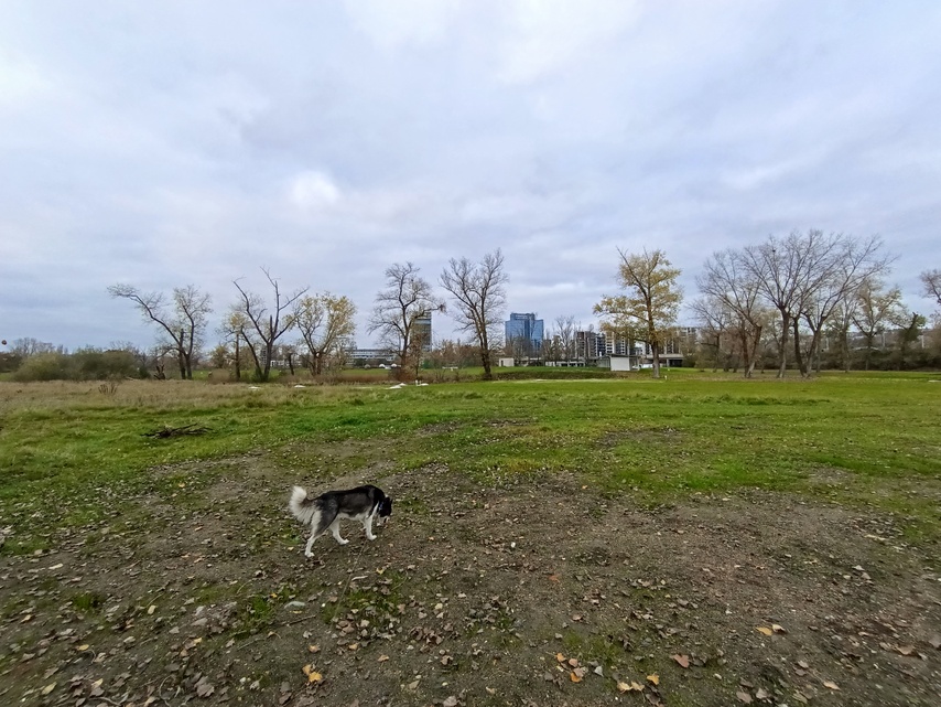 TCL 50 Pro NXTPAPER 5G