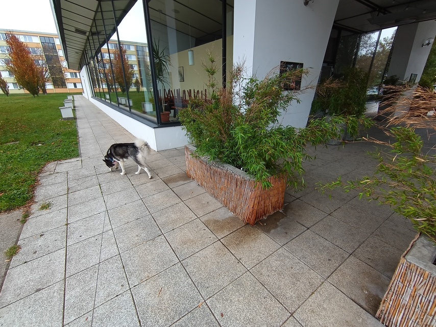 TCL 50 Pro NXTPAPER 5G