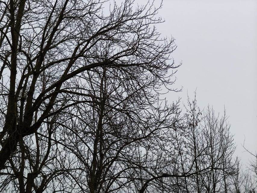 TCL 60 Ultra NXTPAPER