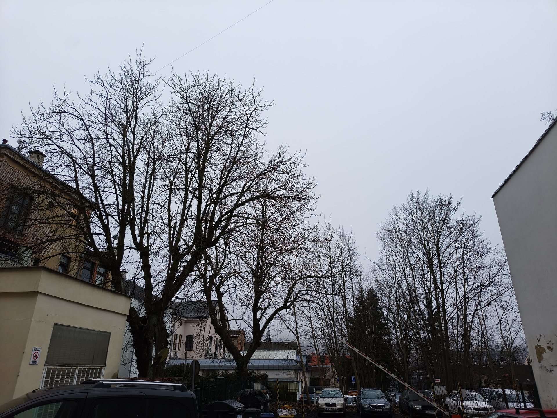 TCL 60 Ultra NXTPAPER