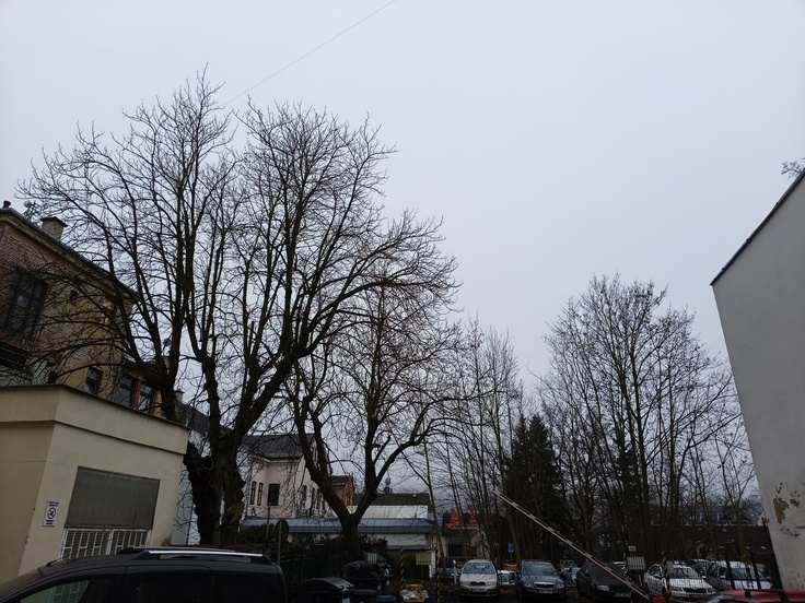 TCL 60 Ultra NXTPAPER