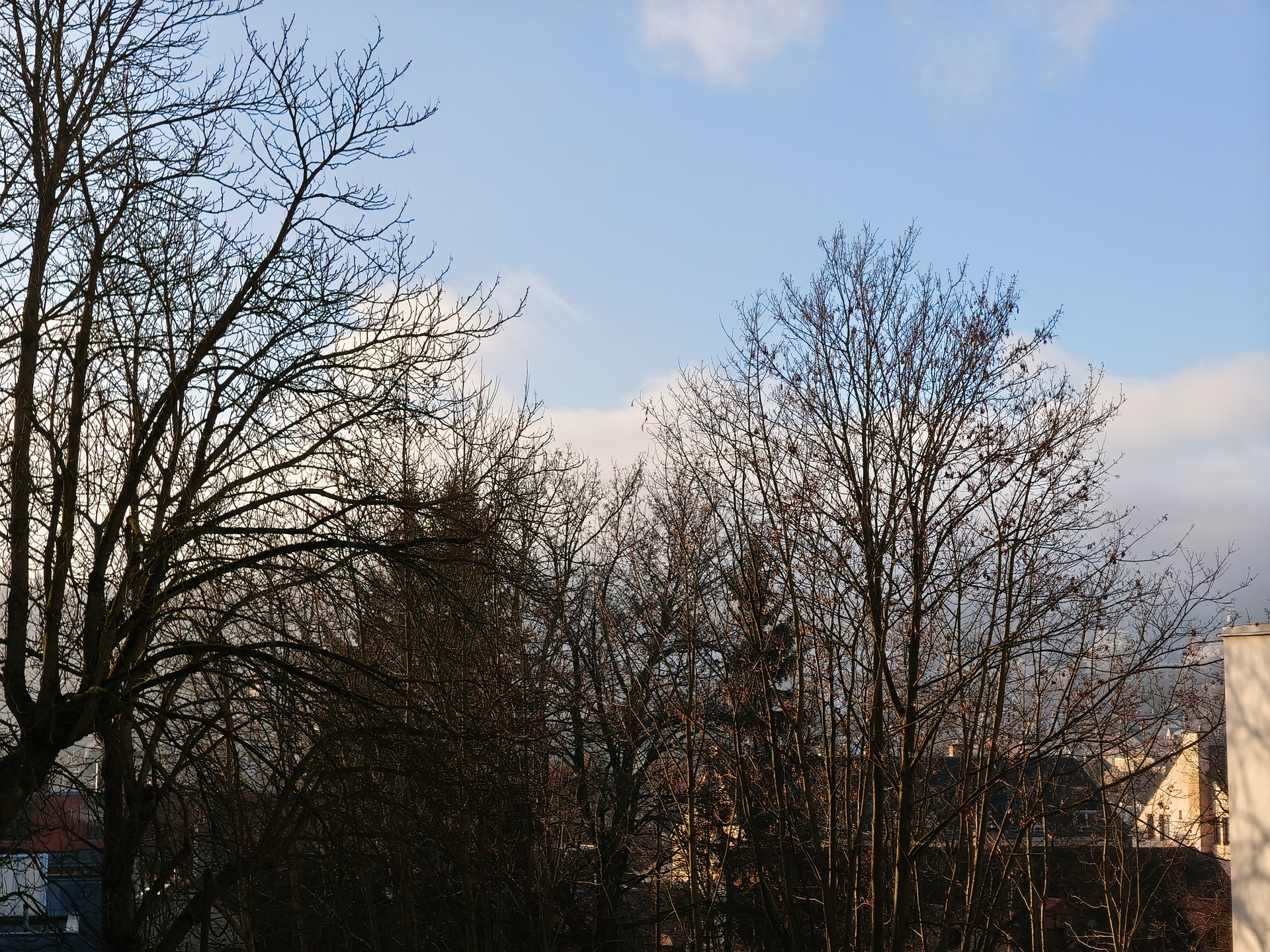 TCL 60 Ultra NXTPAPER