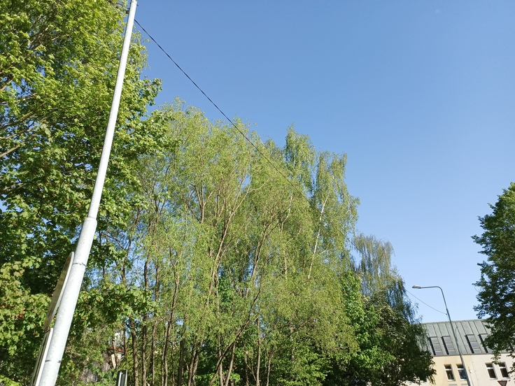 Tecno Camon 18 Premier