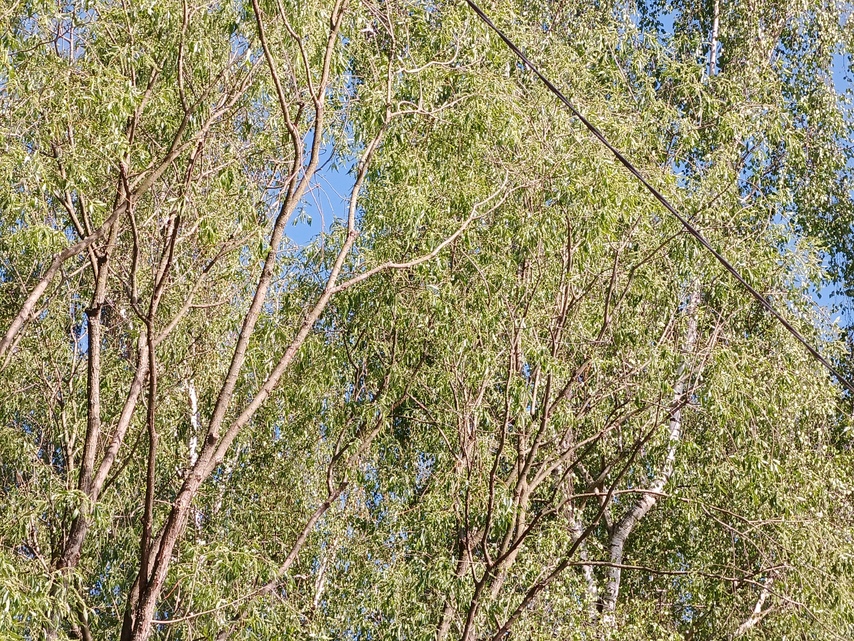 Tecno Camon 18 Premier