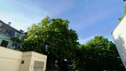 Tecno Camon 18 Premier