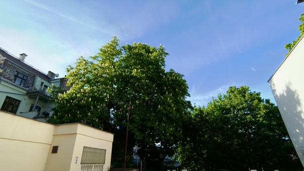 Tecno Camon 18 Premier