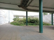 Tecno Camon 18 Premier